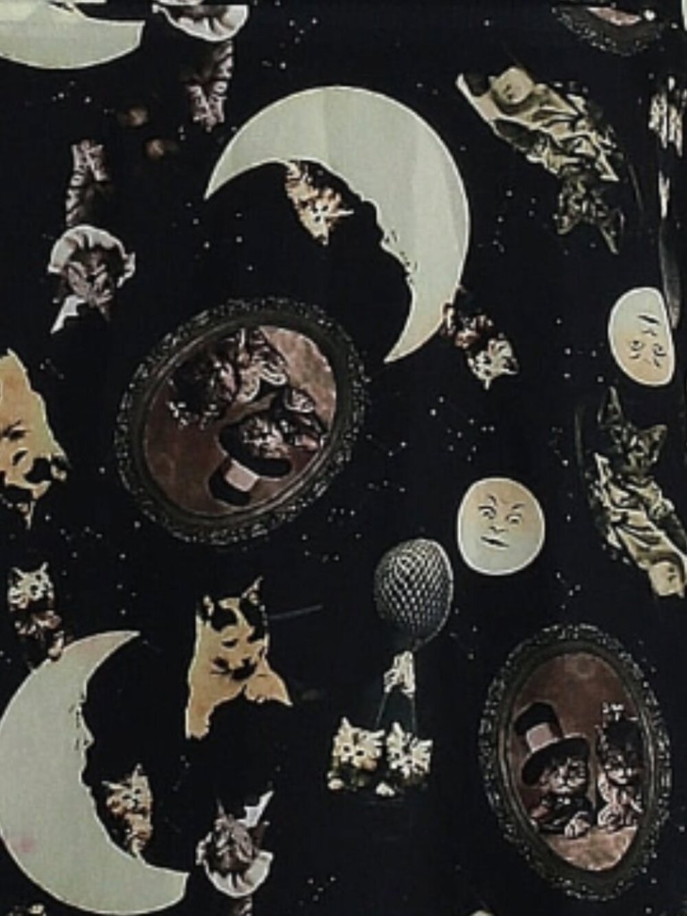 JAWBREAKER Catstellation Victorian cat print goth chiffon dress - Picture 4 of 7